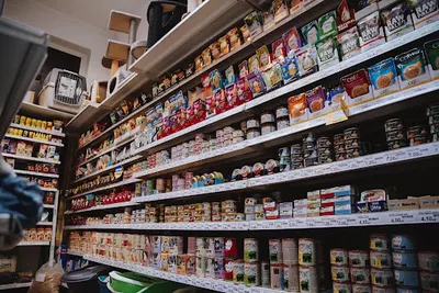 Wszystko dla Psa i Kota